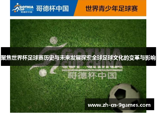 聚焦世界杯足球赛历史与未来发展探索全球足球文化的变革与影响