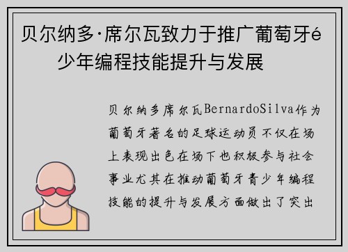 贝尔纳多·席尔瓦致力于推广葡萄牙青少年编程技能提升与发展