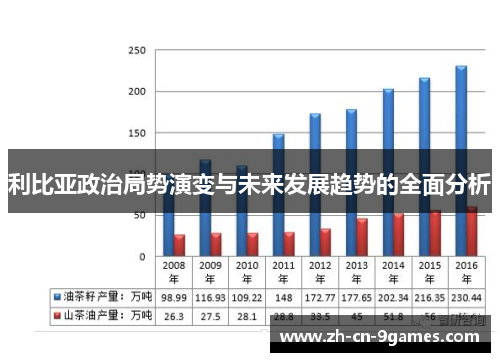利比亚政治局势演变与未来发展趋势的全面分析