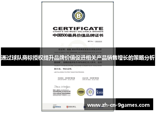 通过球队商标授权提升品牌价值促进相关产品销售增长的策略分析