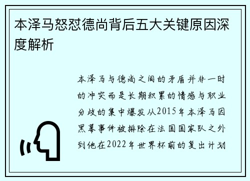 本泽马怒怼德尚背后五大关键原因深度解析